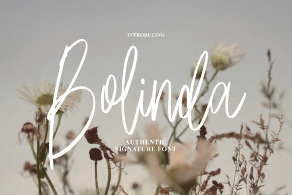 Bolinda Font: A Timeless Script for Elegant Design
