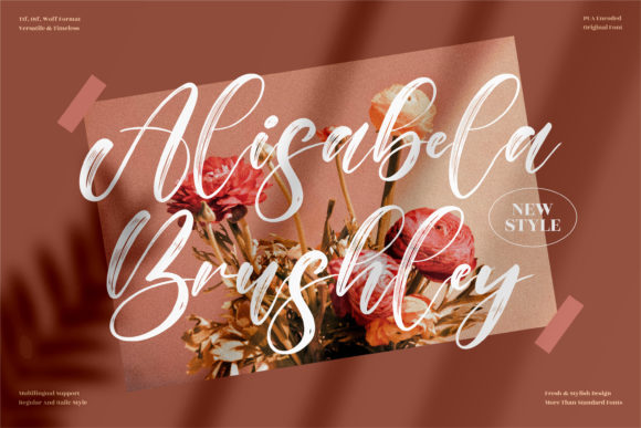Why Alisabela Brushy Might Be Your Next Design Secret (And What to Watch Out For)